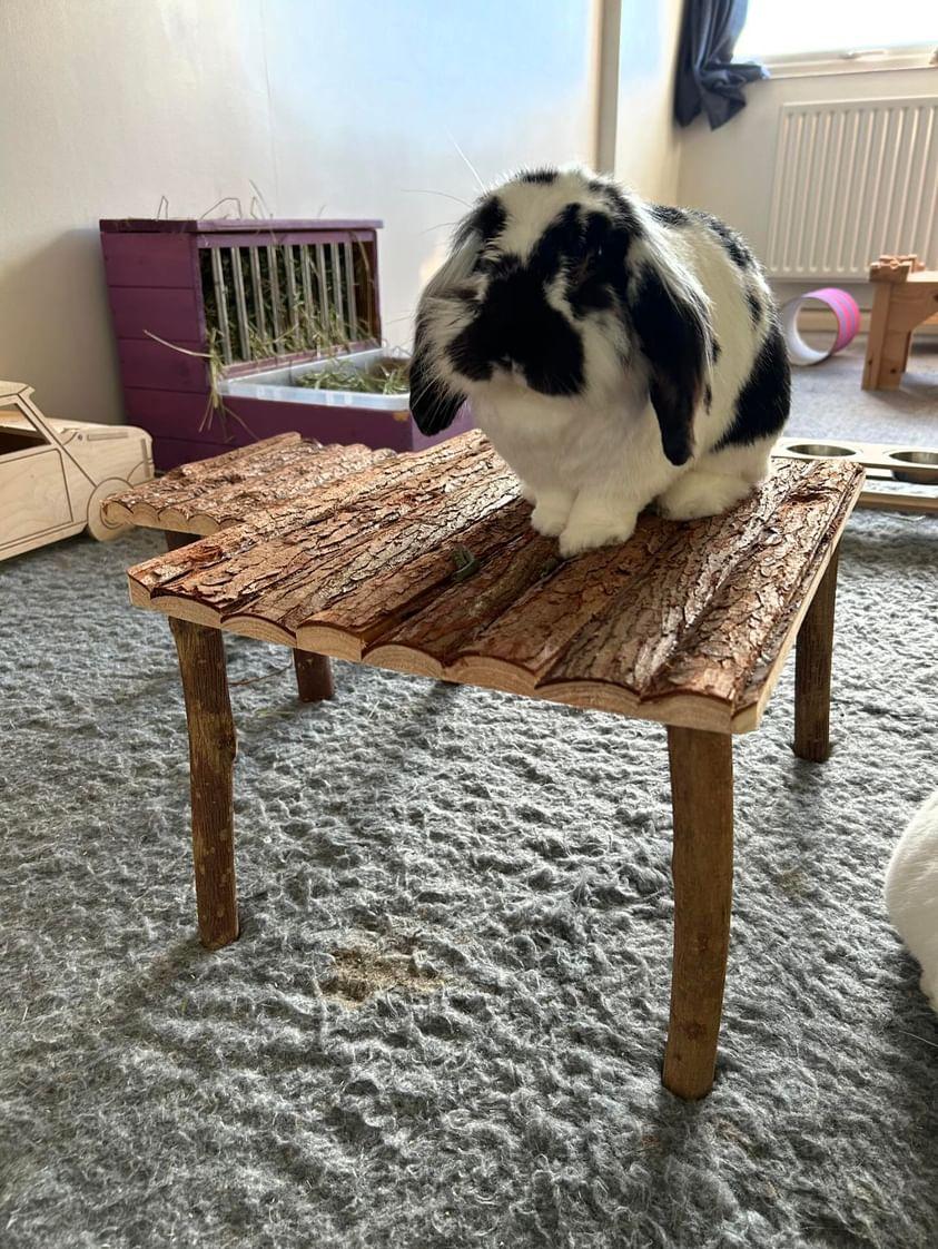 Natural Wood Shelter (Table)