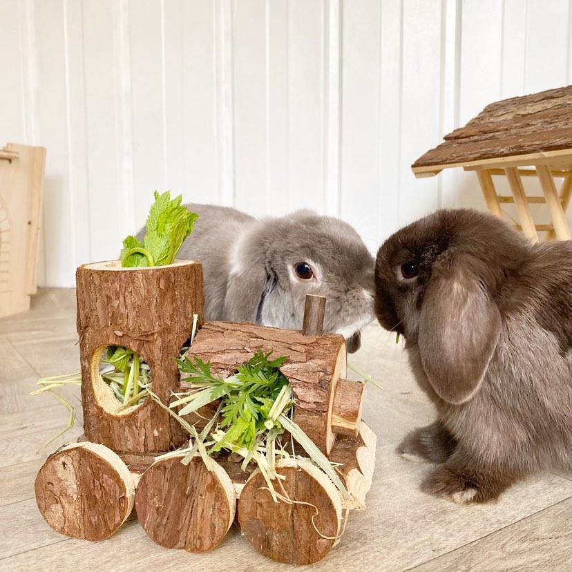 Wooden 'Chew Chew' Train