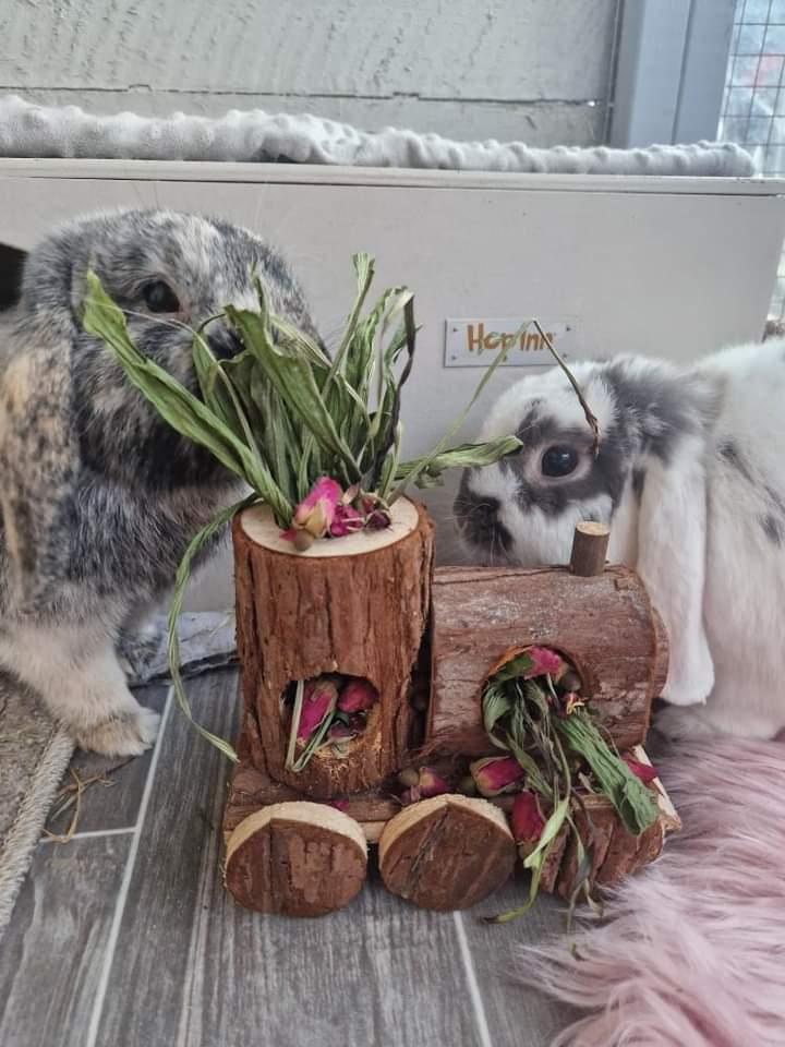 Wooden 'Chew Chew' Train