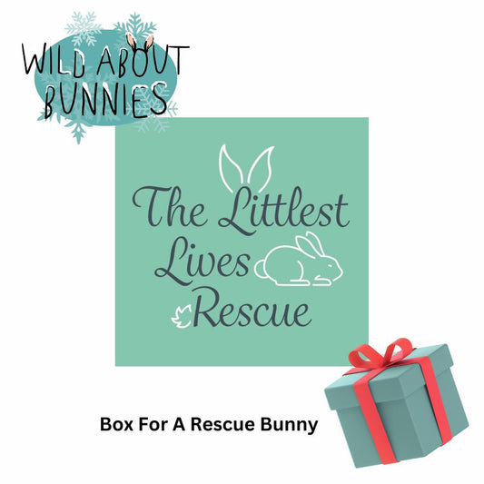 Rescue Box for The Littlest Lives Rescue