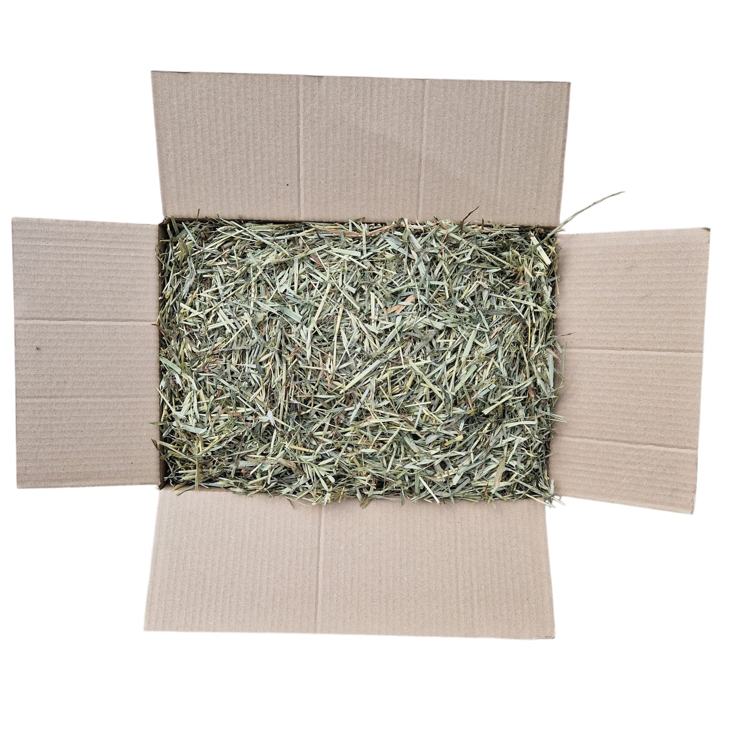Green Oat Forage 3kg Box