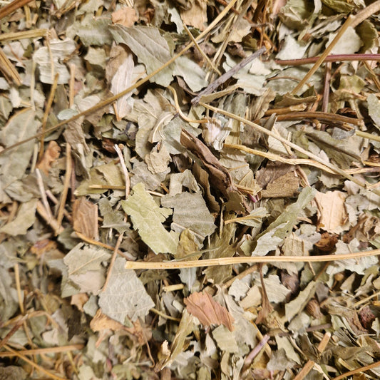 Strawberry Leaves - smaller leaves