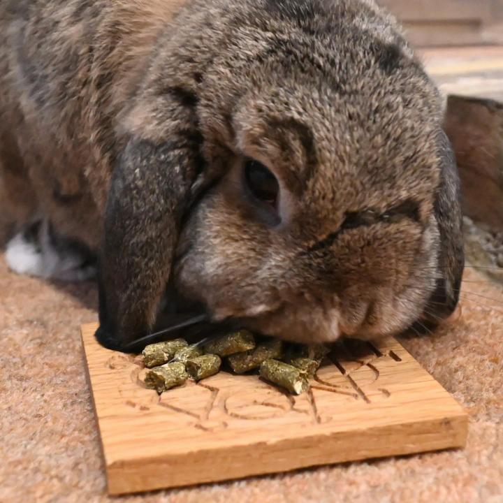 Dill Hay Pellets