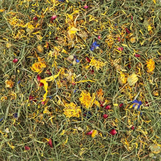 Timothy Rich Hay with Mixed Flowers