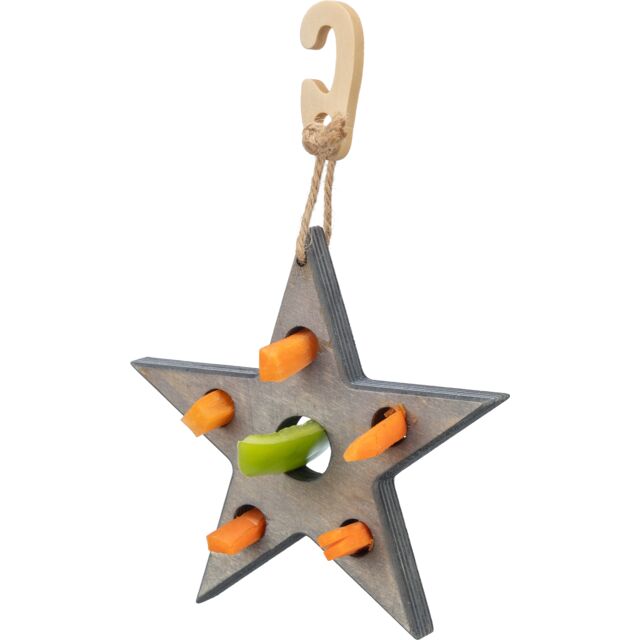 Play and Snack Christmas Star