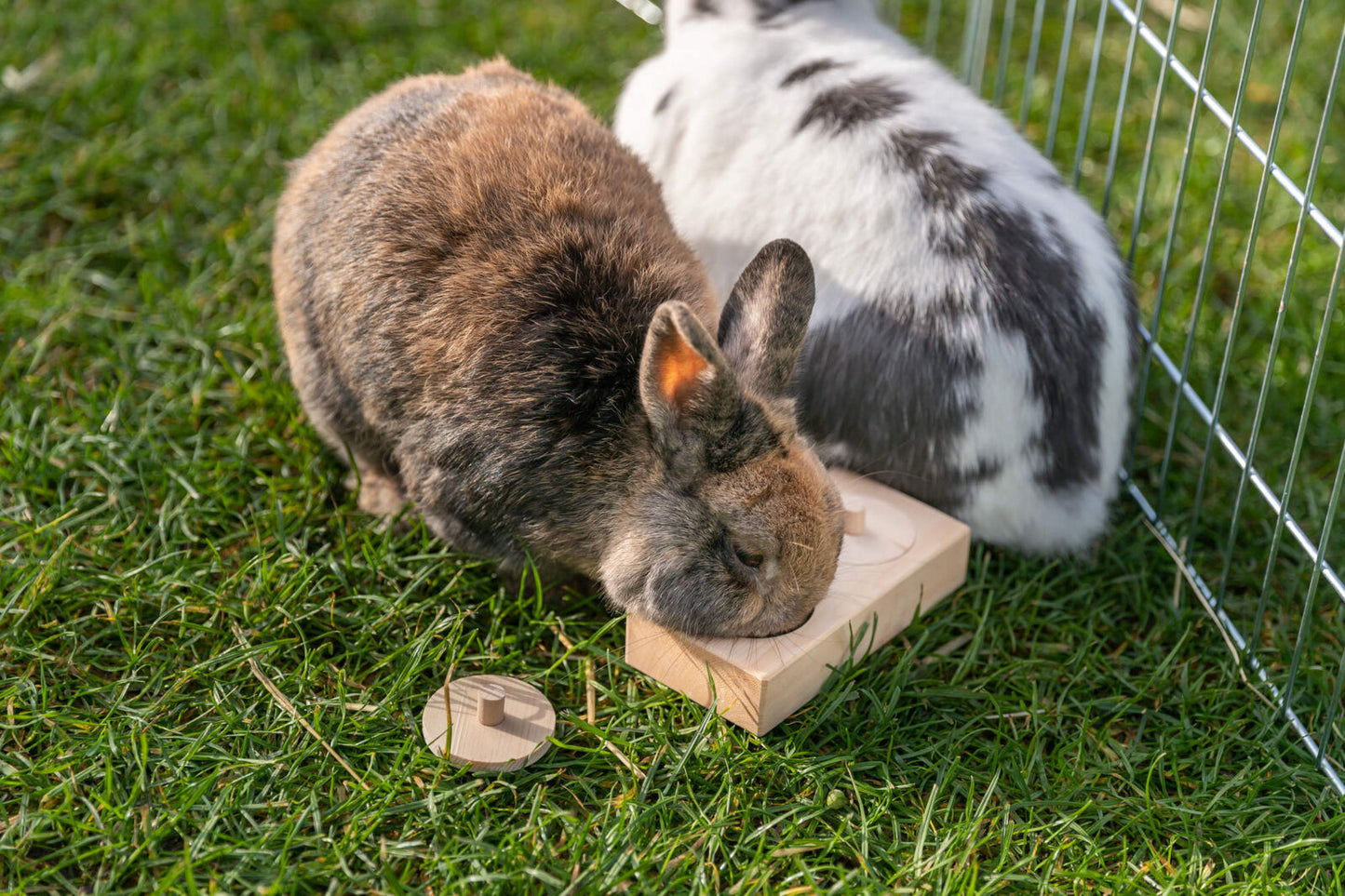 Snack Box