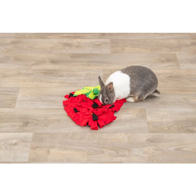 Strawberry Snuffle Mat