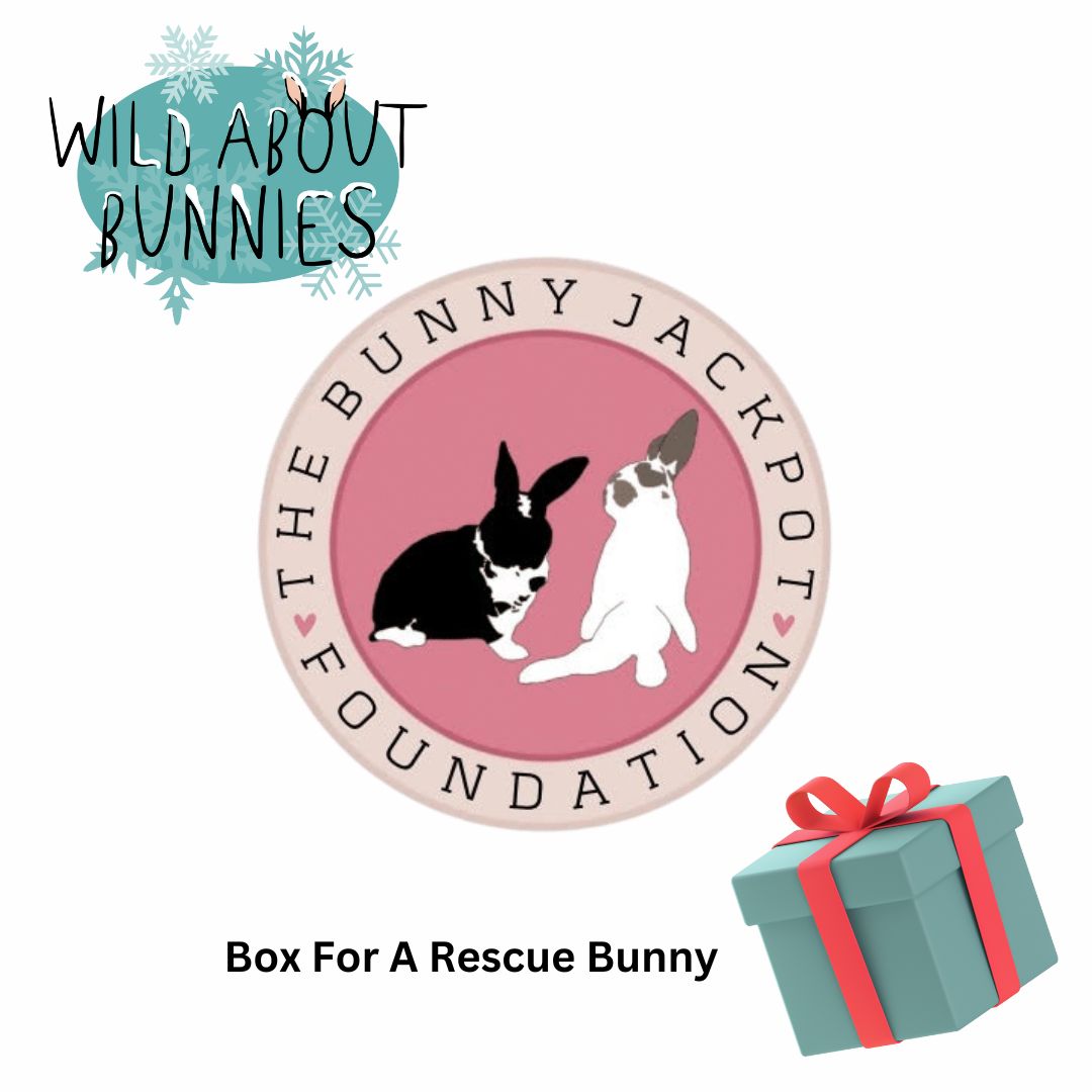 Rescue Box for The Bunny Jackpot Foundation