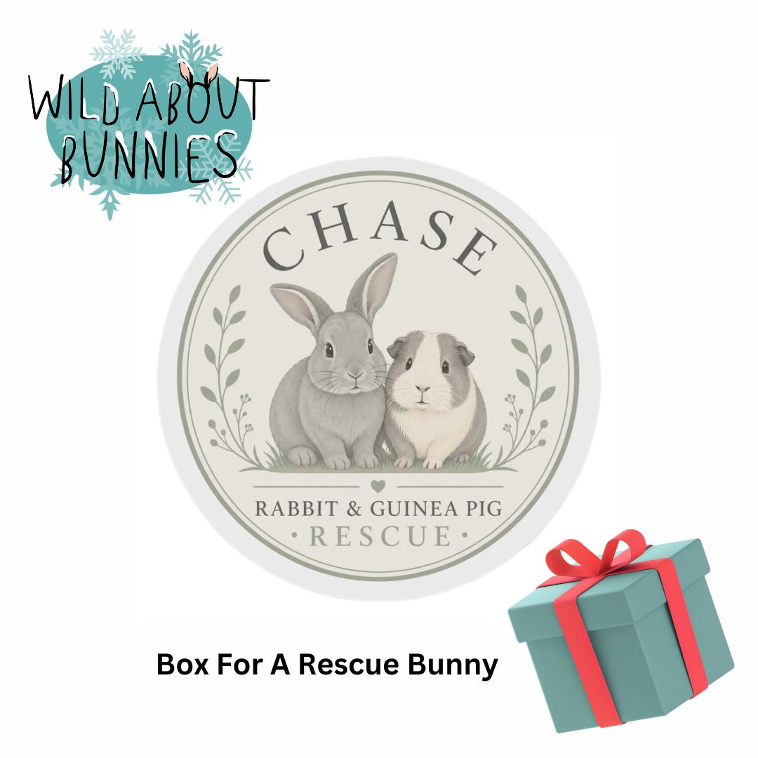 Rescue Box for Chase Rabbit & Guinea Pig Rescue