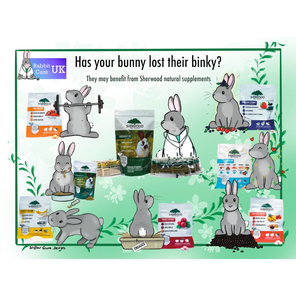 Bunny emergency kit outlet