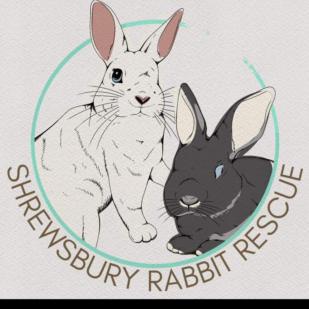 Donation to Shrewsbury Rabbit Rescue