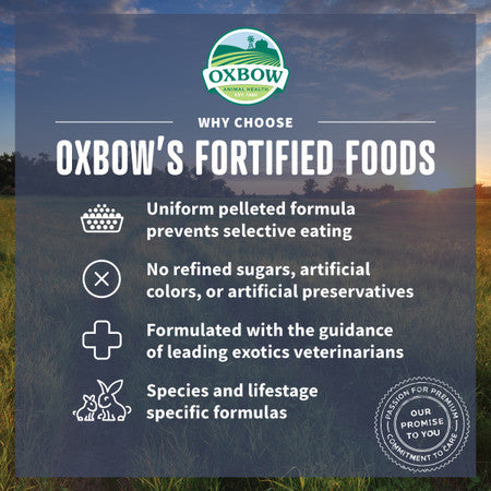 Oxbow Essentials Adult Rabbit Food