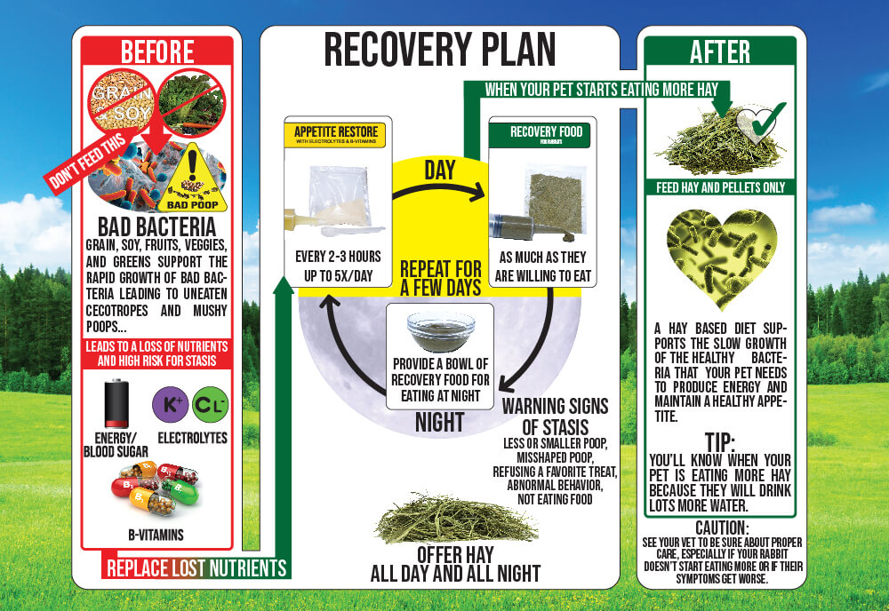 Recovery Rabbit Sherwood Pet Health - Rabbit Recovery Food – Wild About Bunnies