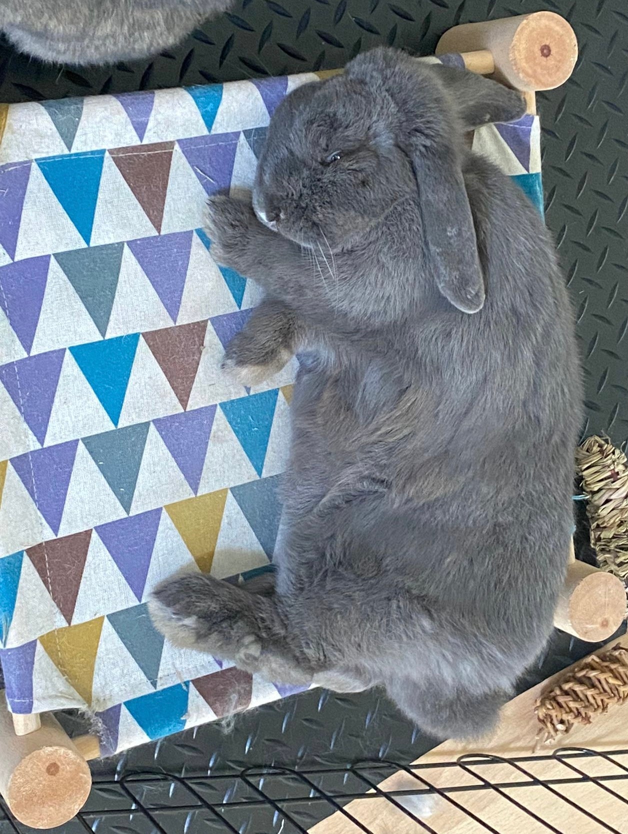 Rabbit Hammock