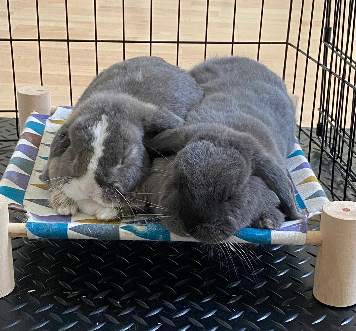 Rabbit Hammock