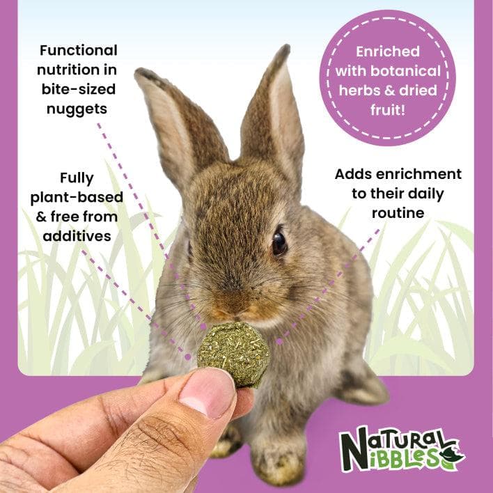 Natural Nibbles ProCare+ Calming