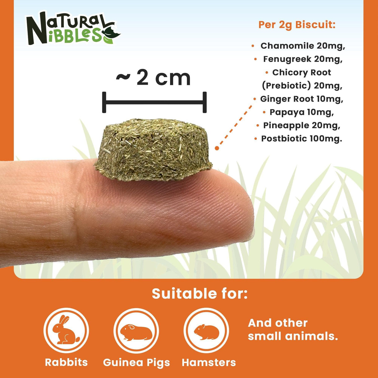 Natural Nibbles ProCare+ Digestion