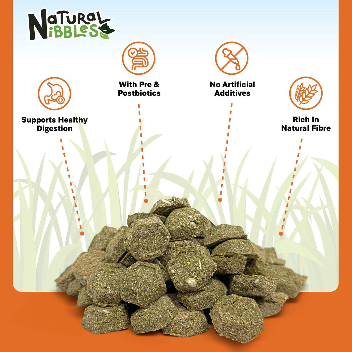 Natural Nibbles ProCare+ Digestion