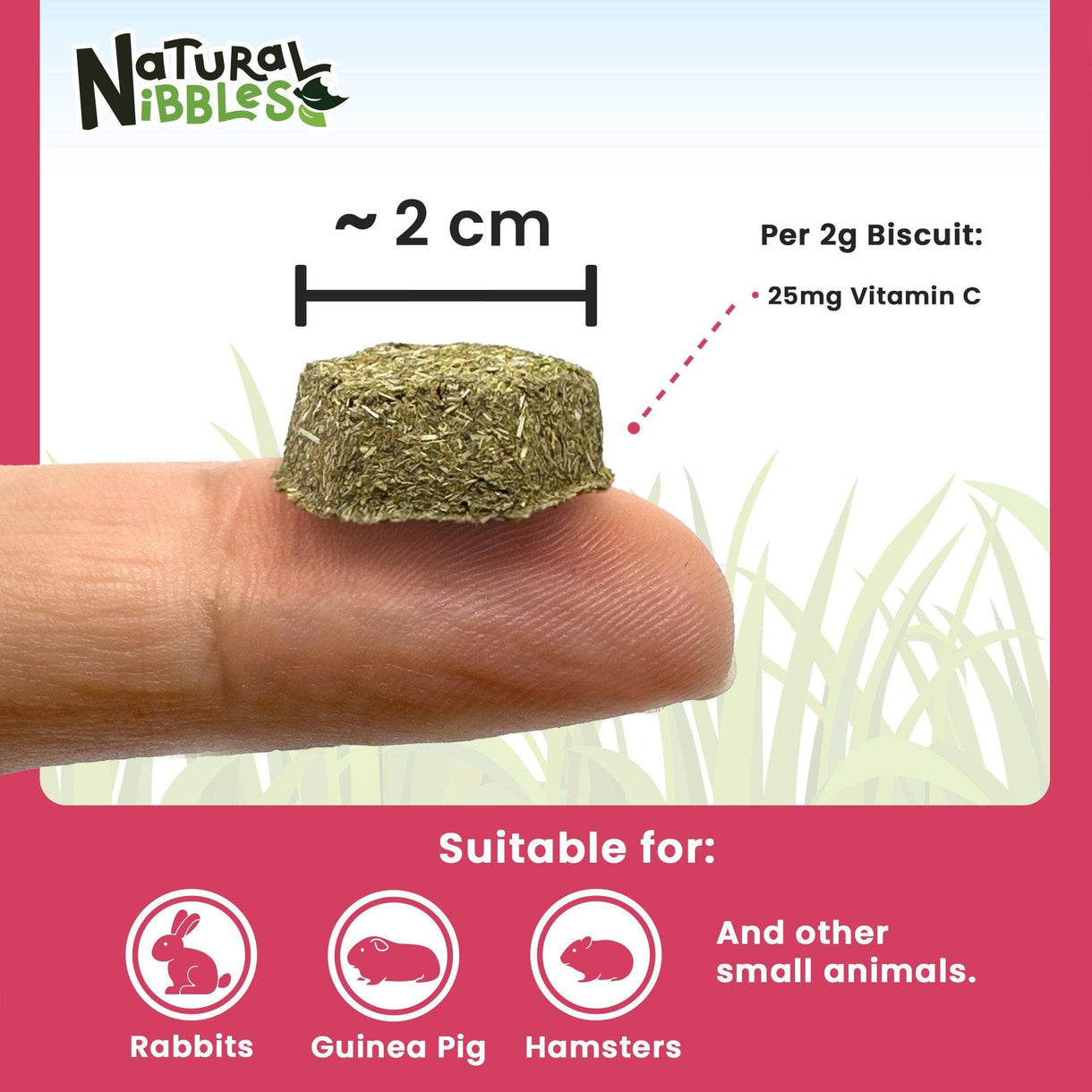 Natural Nibbles ProCare+ Vitamin C