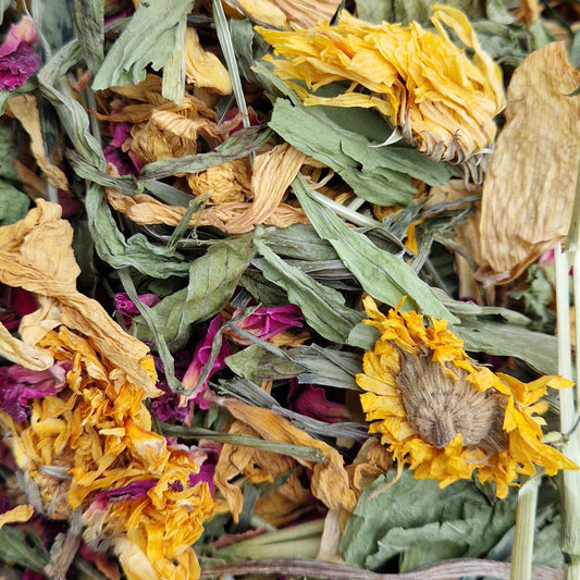 Springtime Forage Blend (Limited Edition)