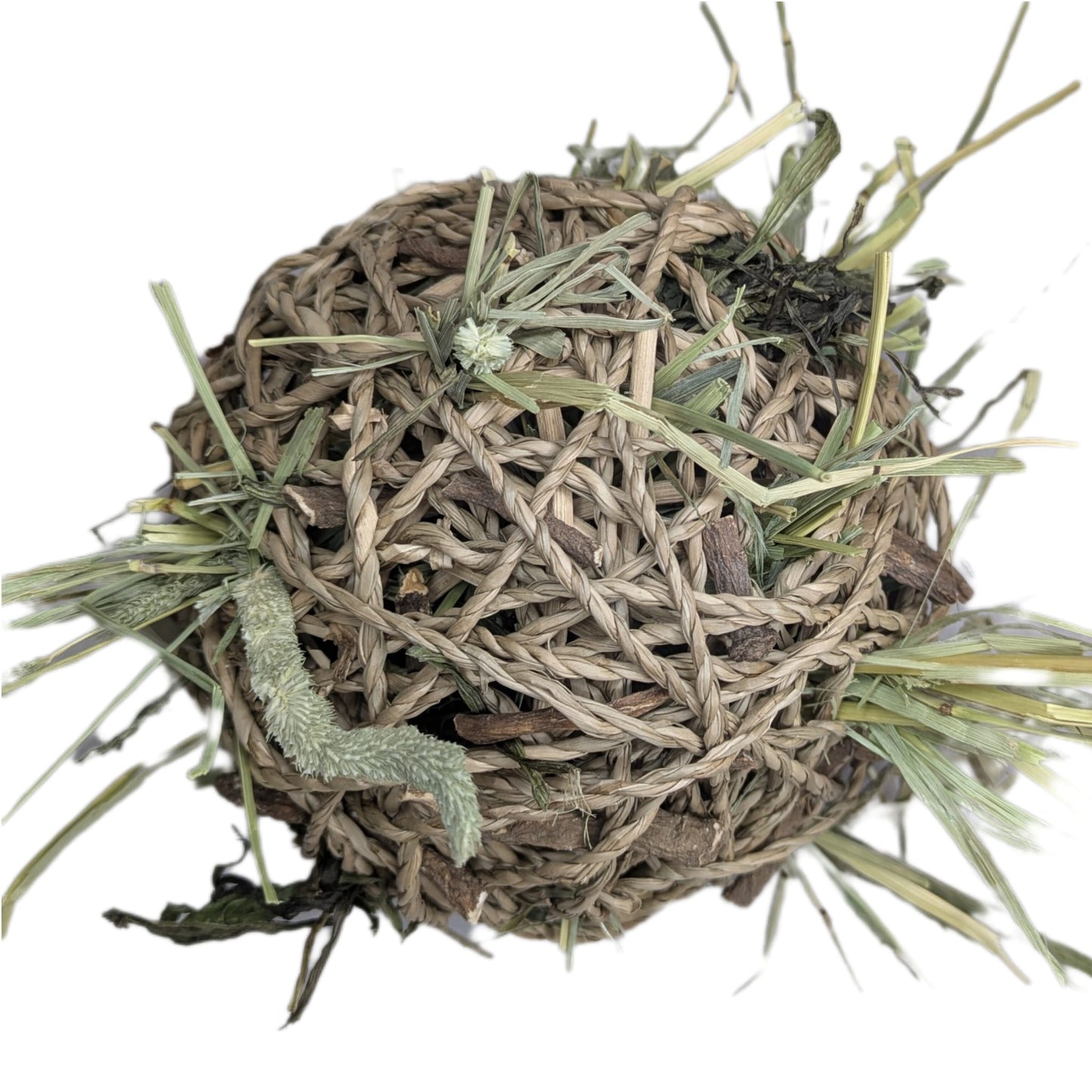 Forage Filled Seagrass Play Ball