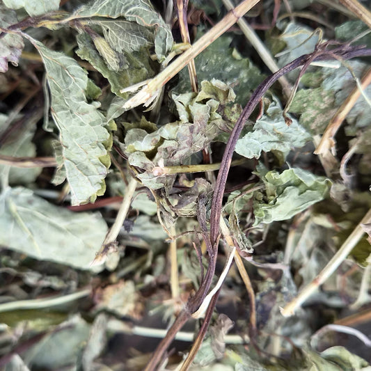 Lemon Balm