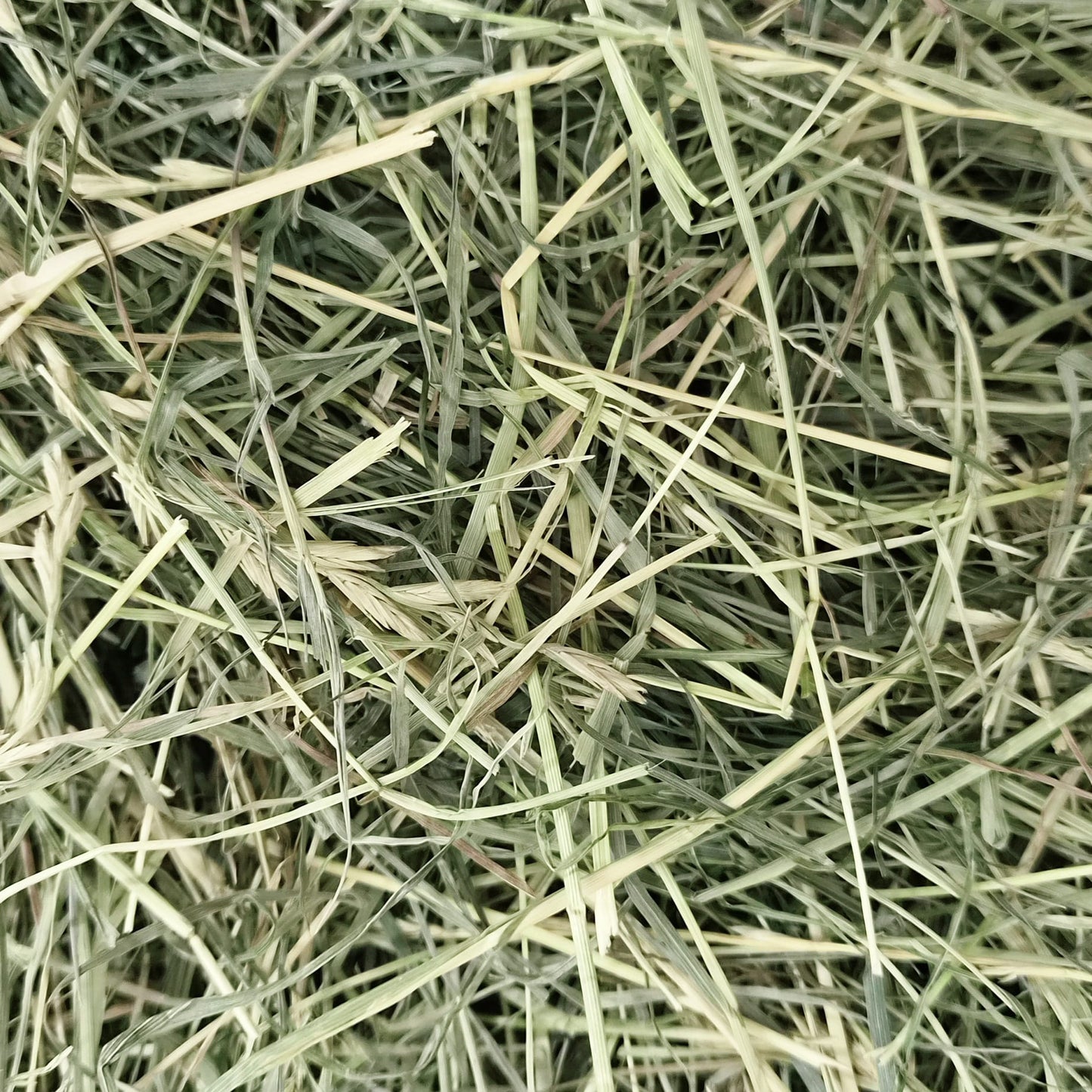 Wild About Bunnies Supreme Meadow Hay Box
