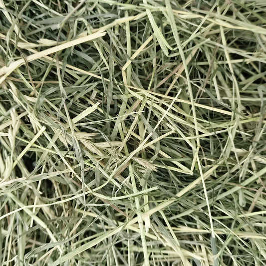 Wild About Bunnies Supreme Meadow Hay Box