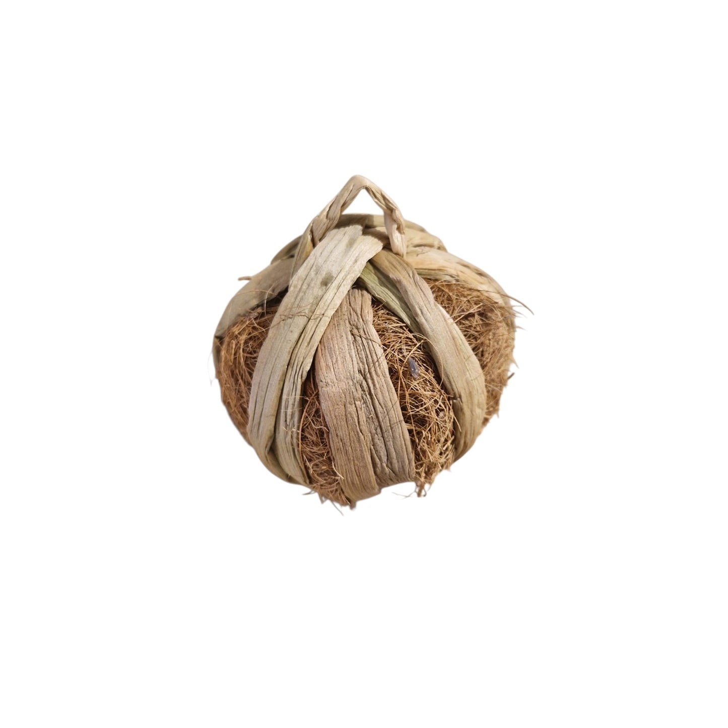 Hyacinth Pumpkin
