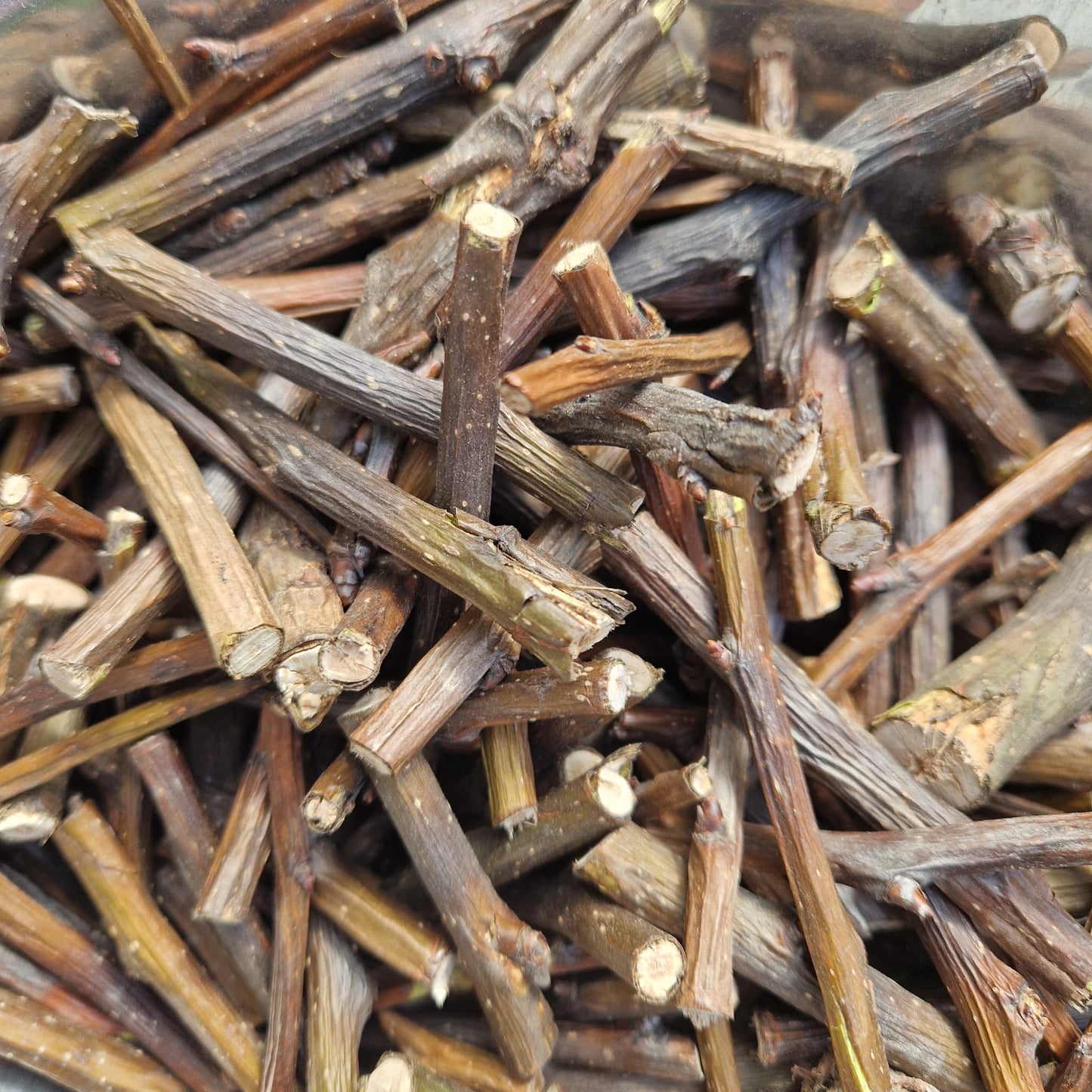 Pear Wood Gnaw Sticks
