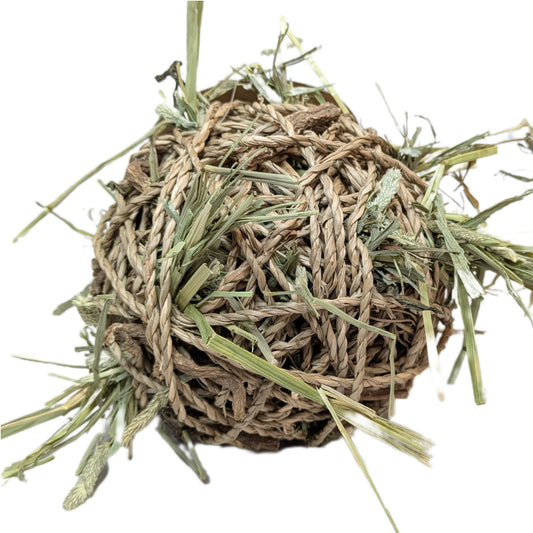 Forage Filled Seagrass Play Ball
