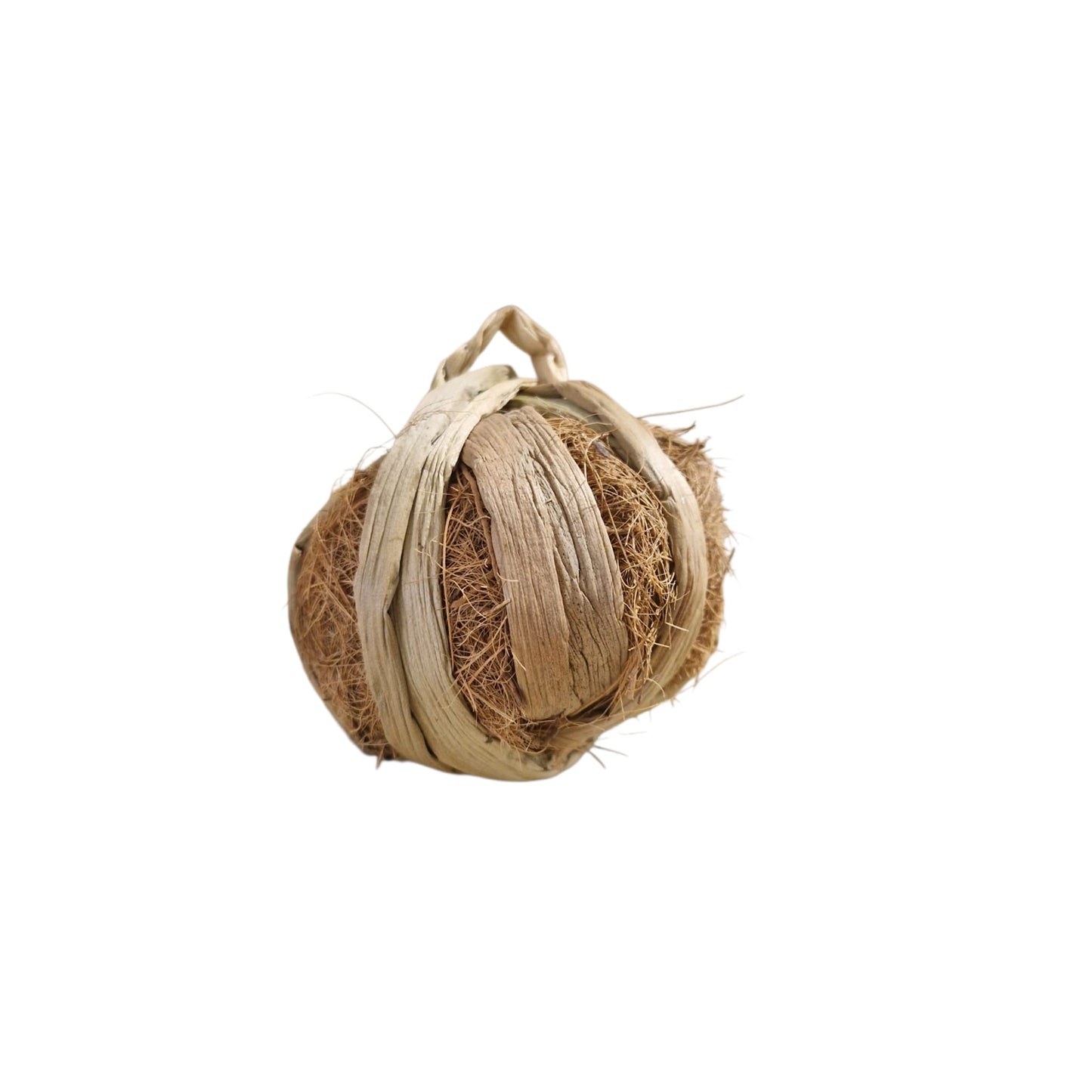 Hyacinth Pumpkin