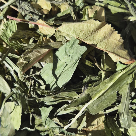 Plantain & Apple Leaves