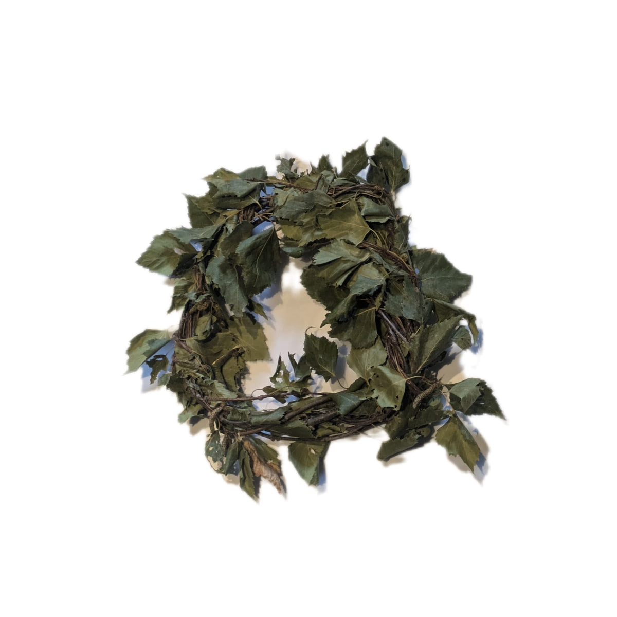 Birch Wreath