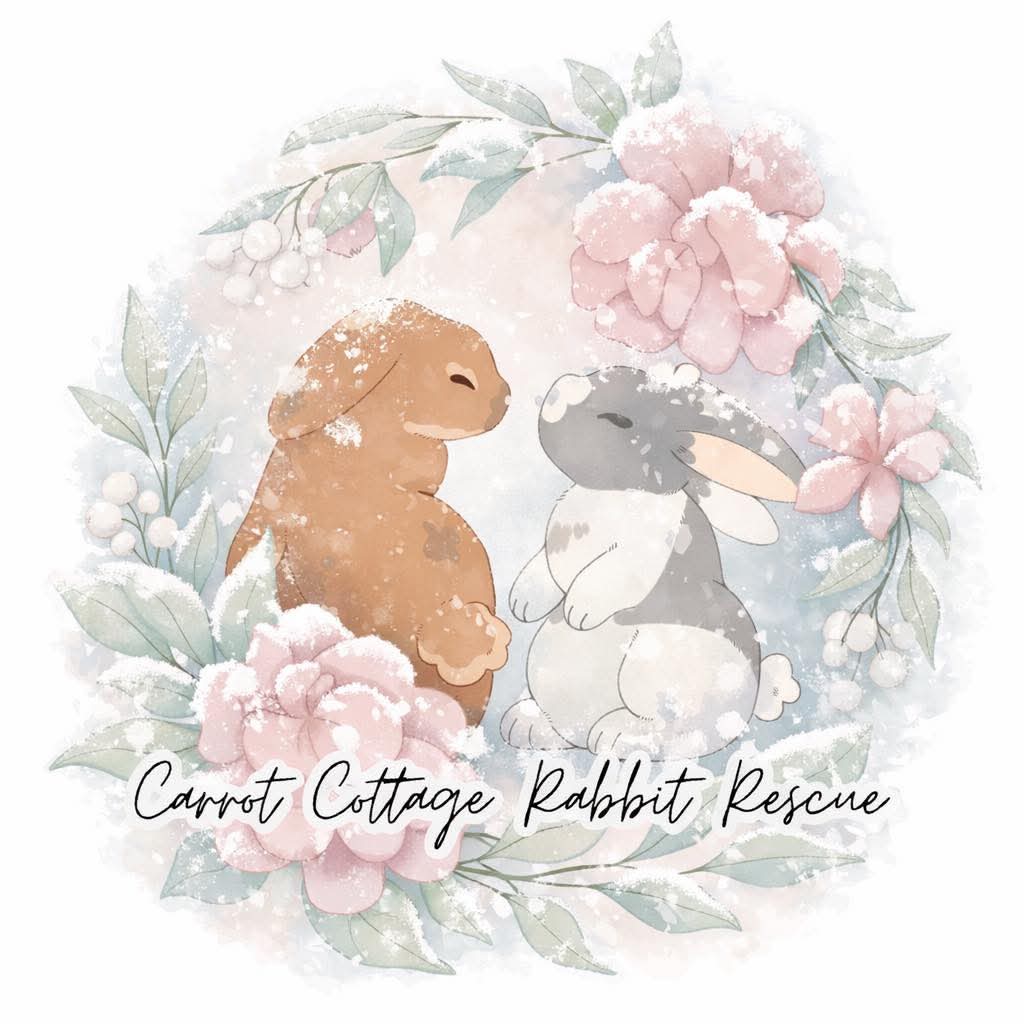 Donate £1 or an item to Carrot Cottage Rabbit Rescue
