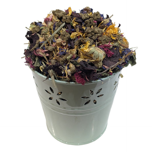 Springtime Plant Pot