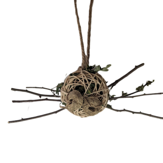 Hawthorn Spider