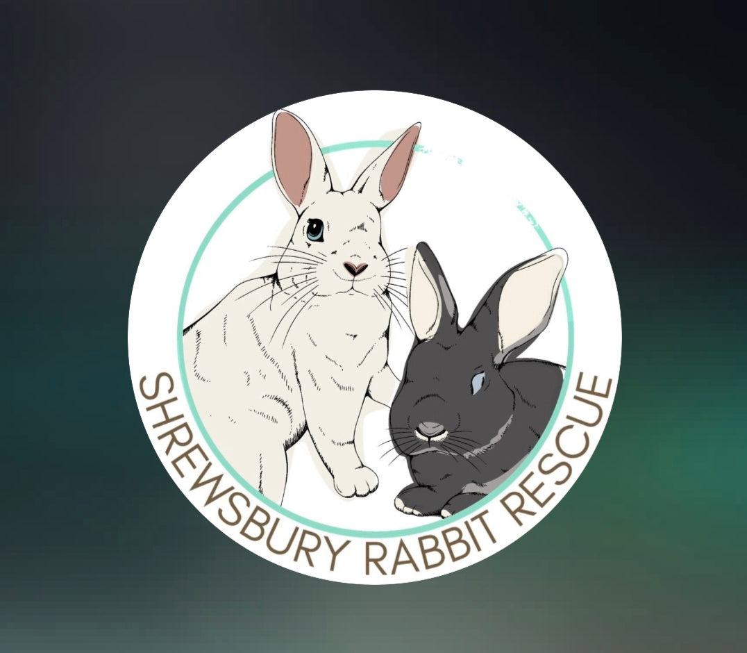 Donate £1 or an item to Shrewsbury Rabbit Rescue