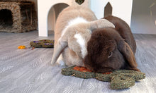 Load image into Gallery viewer, Carrot &#39;n&#39; Forage Bunny
