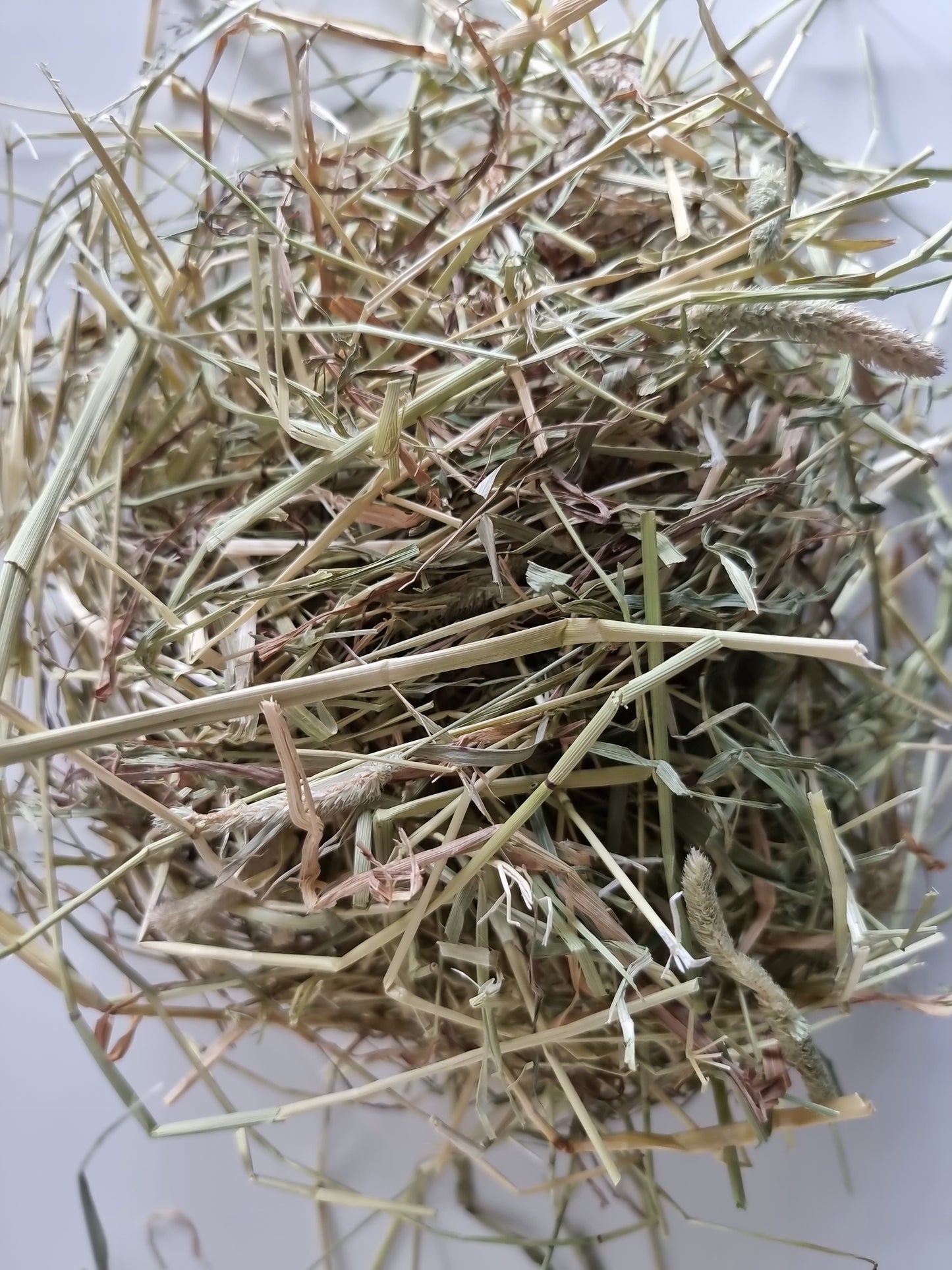 Wild About Bunnies Hay Samples