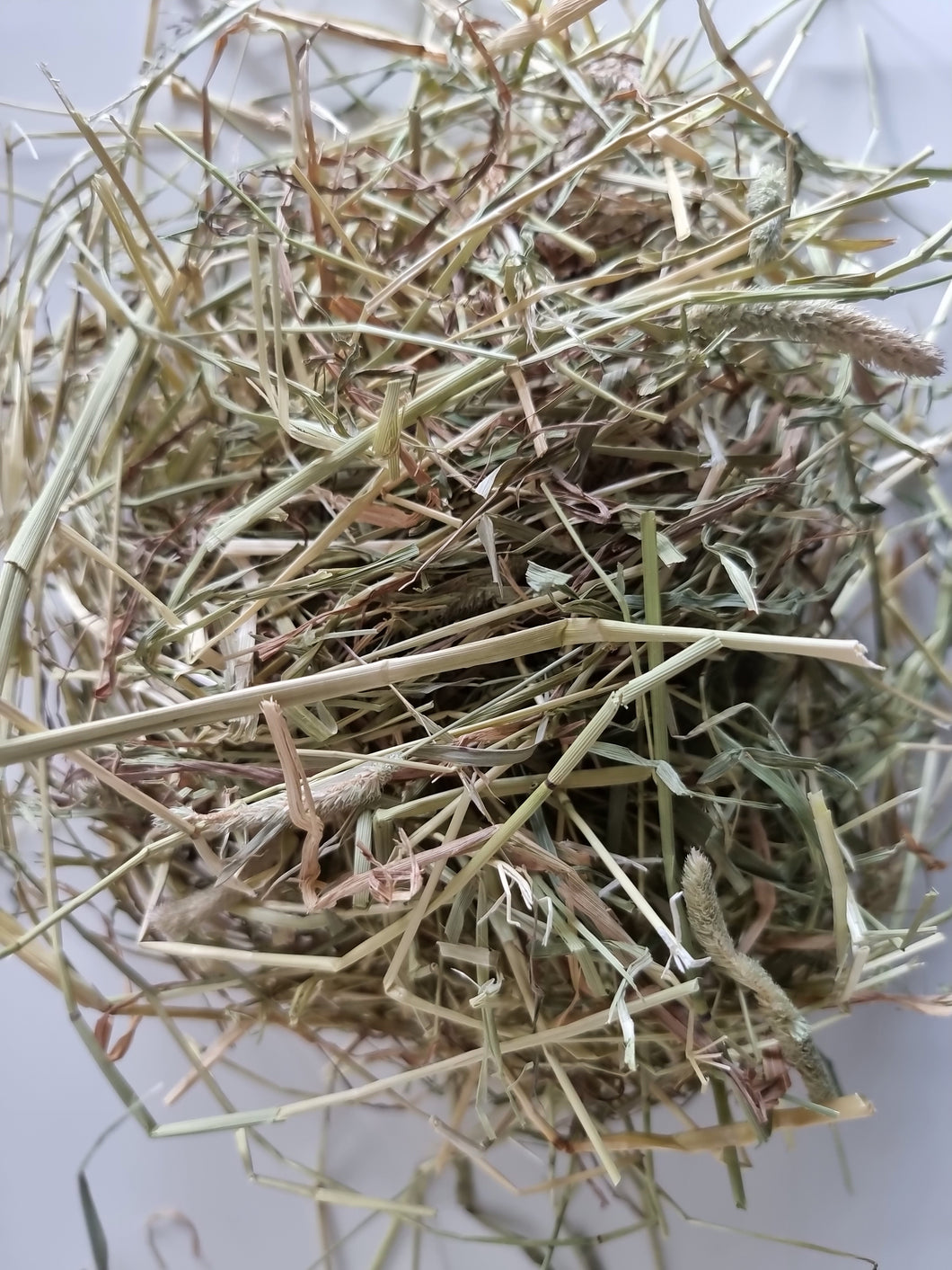 Wild About Bunnies Hay Samples