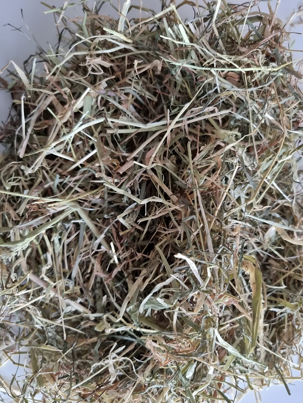 Wild About Bunnies Premium Meadow Hay Box