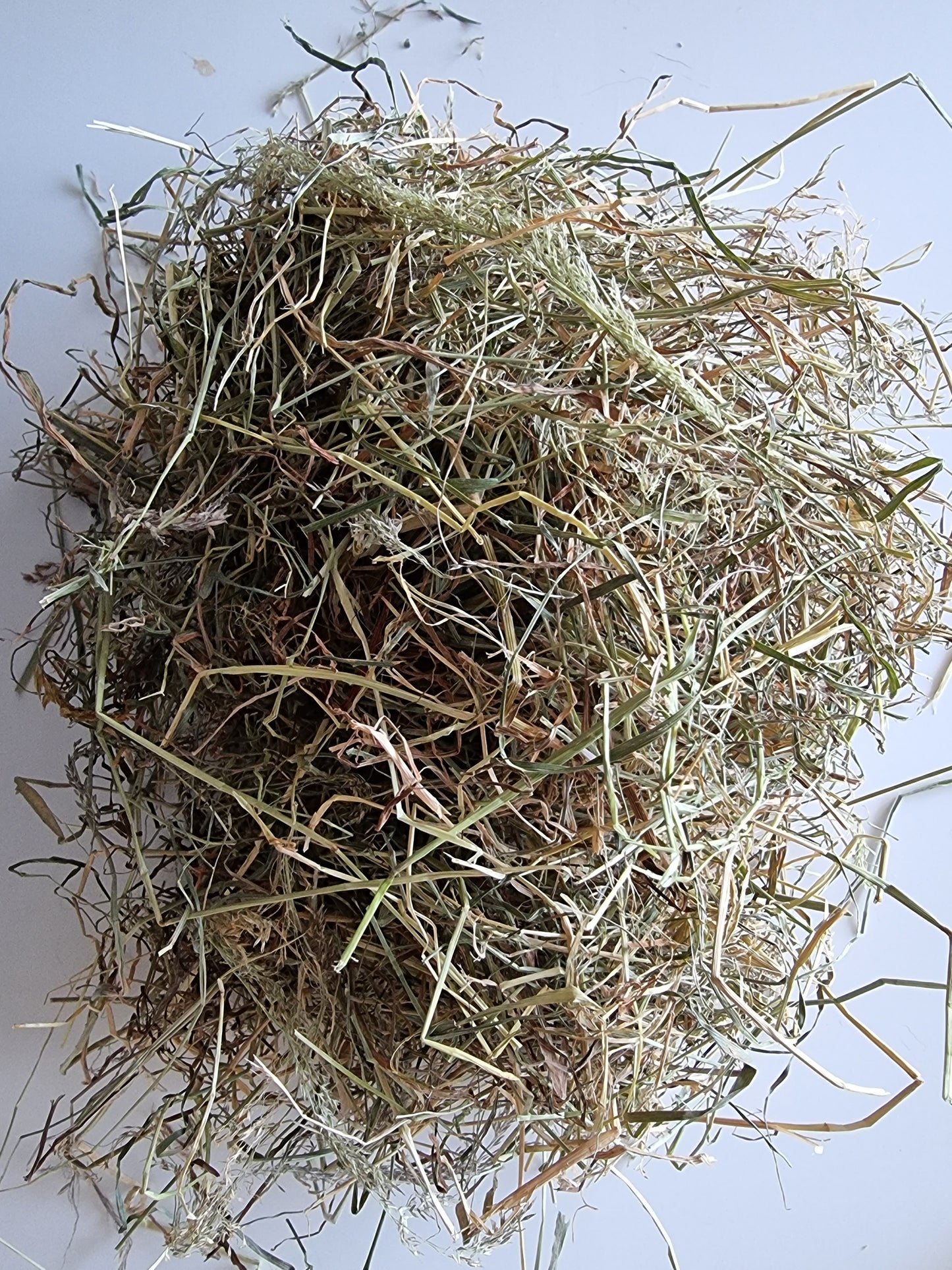 Wild About Bunnies Hay Samples