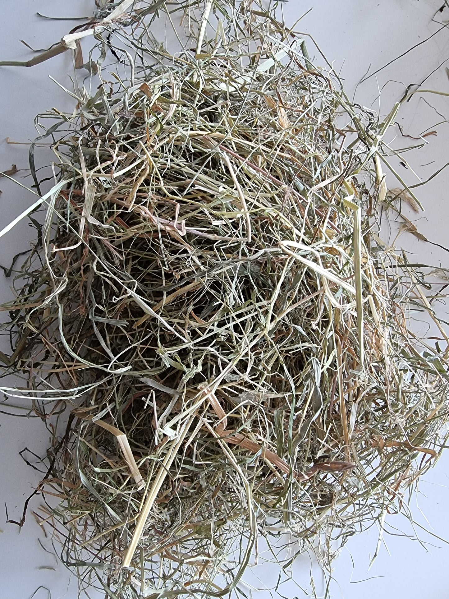 Wild About Bunnies Hay Samples