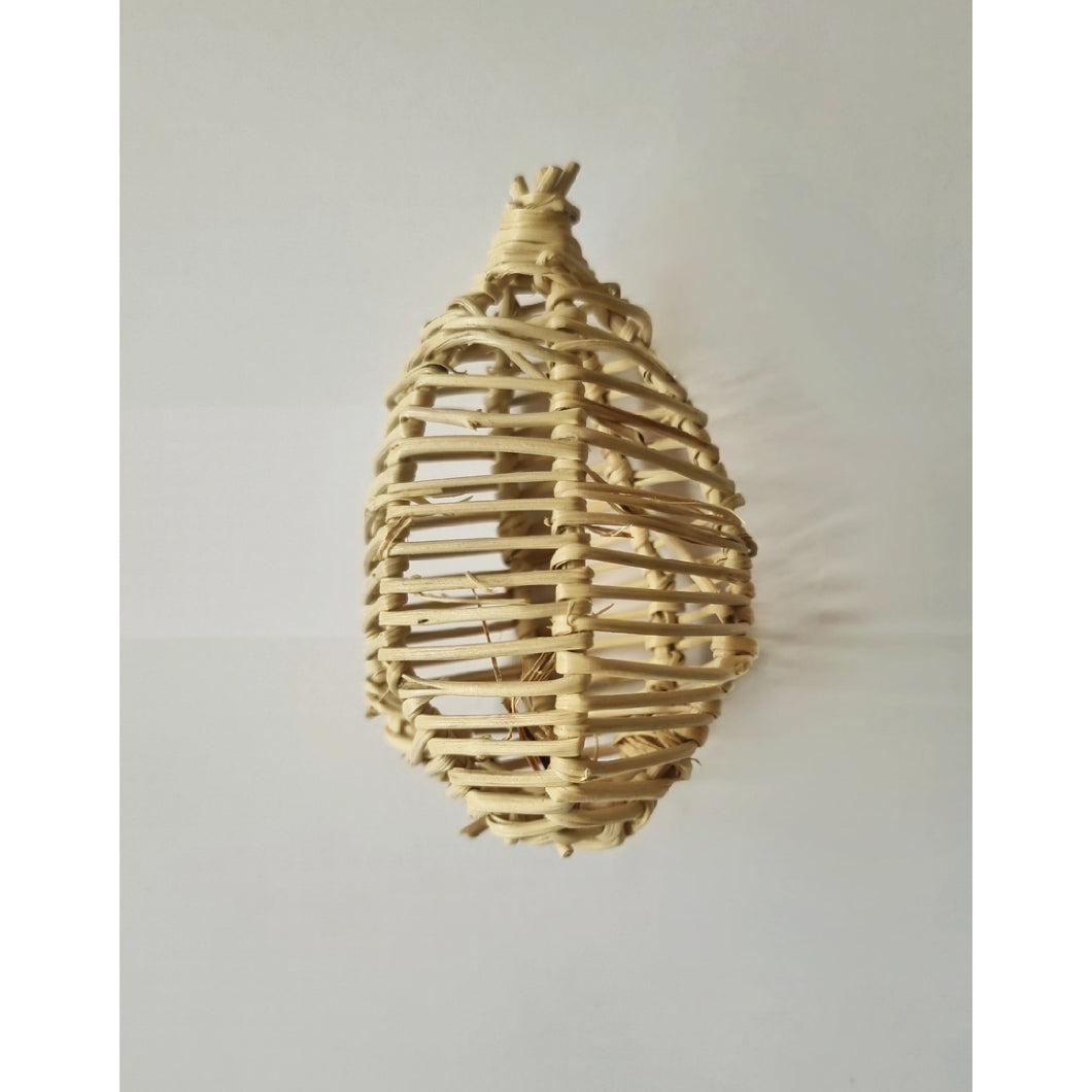 Vine Bulb