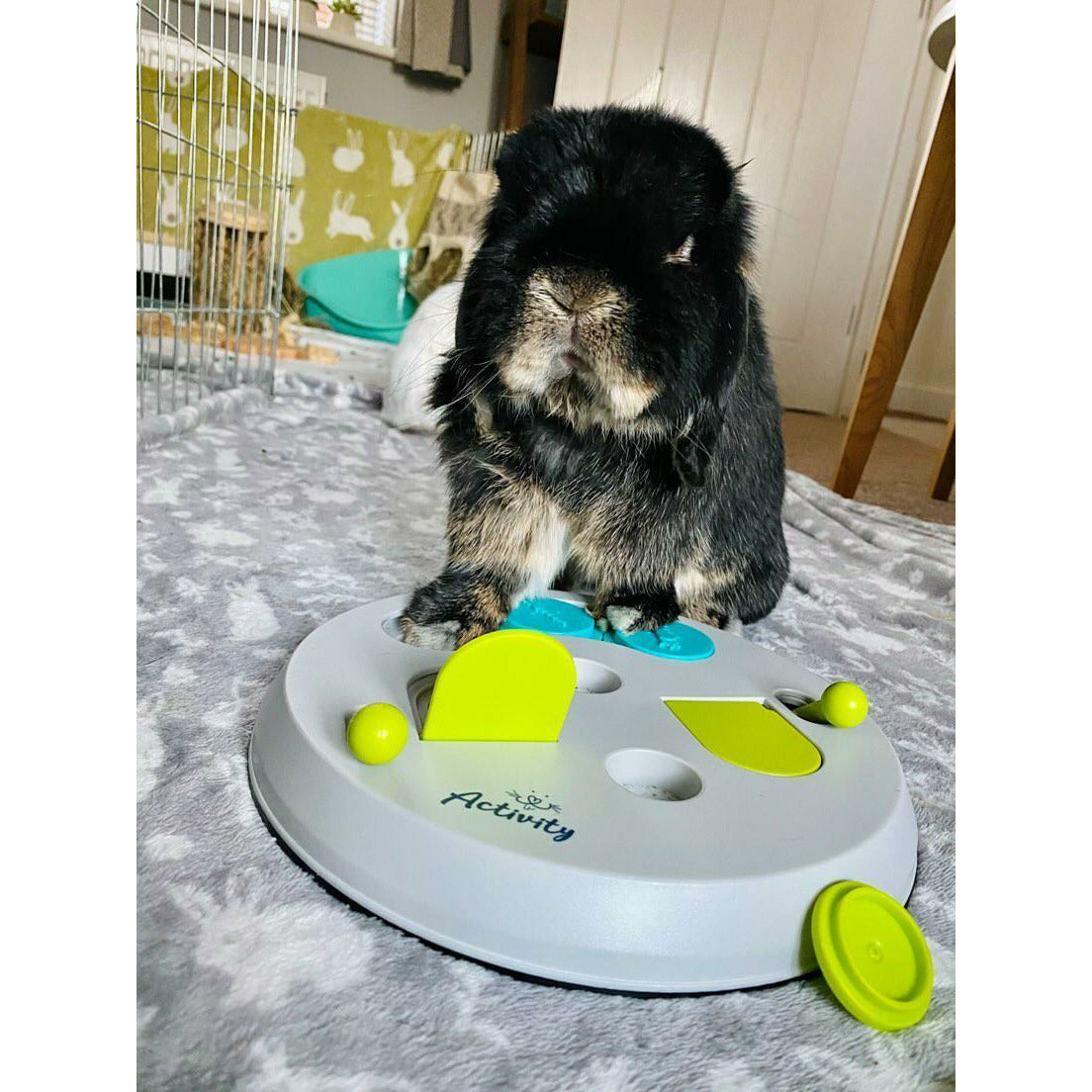 Flip Board Rabbit Toy