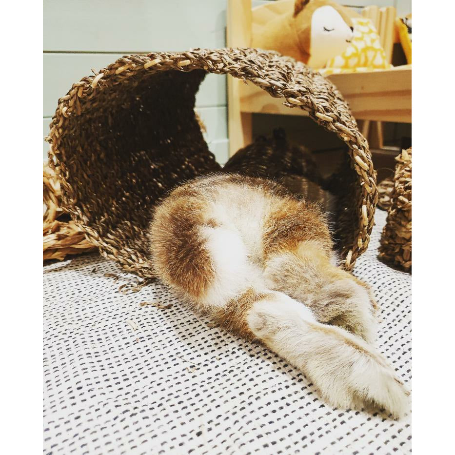 Seagrass Play Tunnel