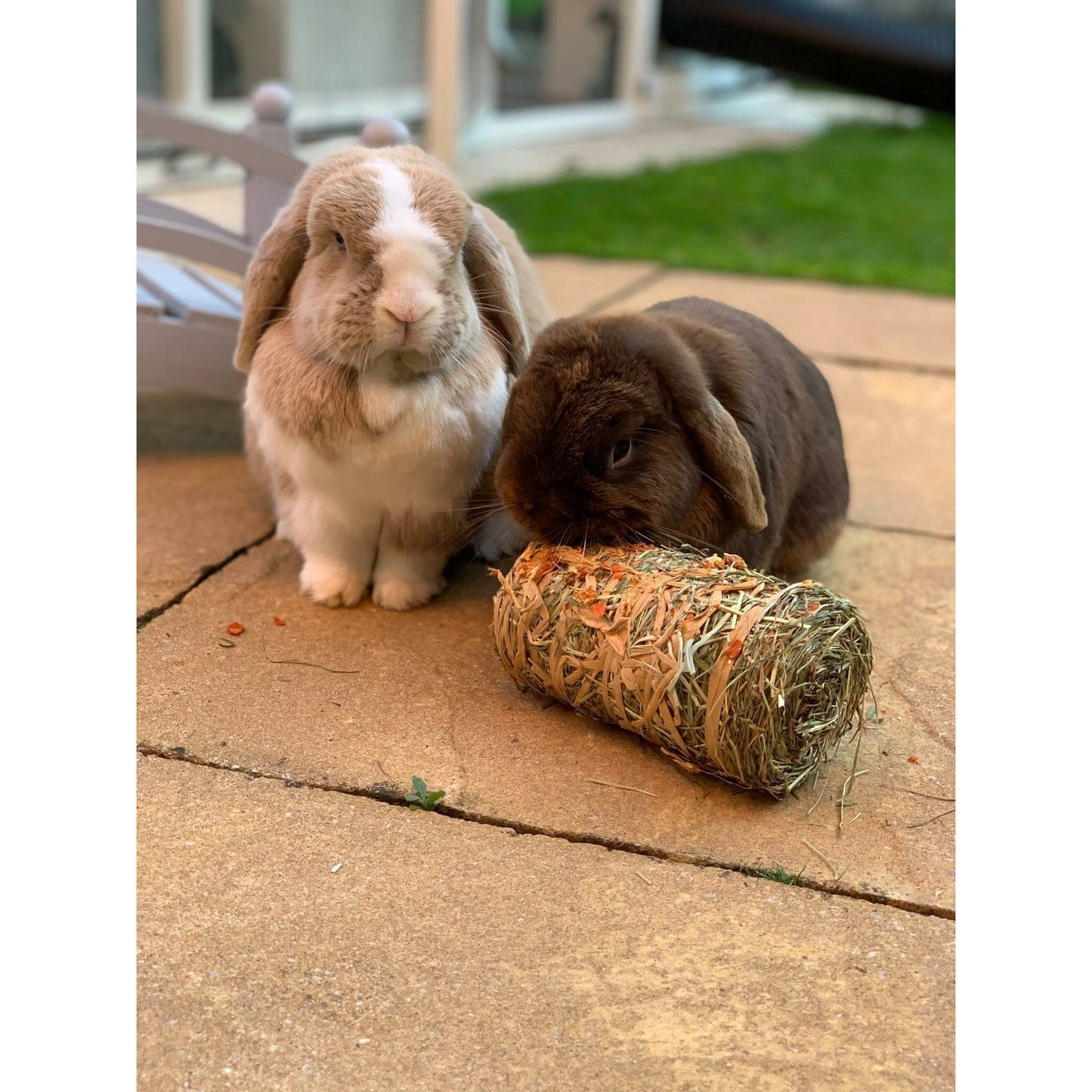 Small Hay Bale