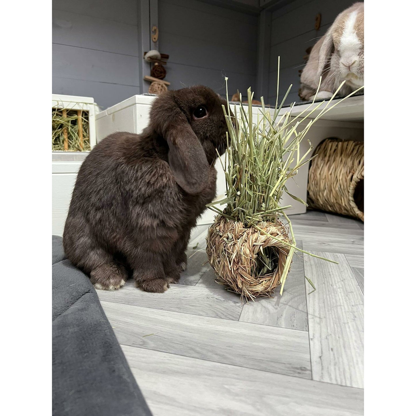 Grass Nest (Hay Bomb)