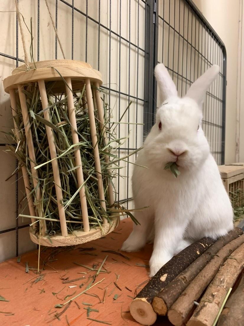 3 in 1 Hay Rack/Roller
